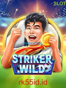 StrikerWILD